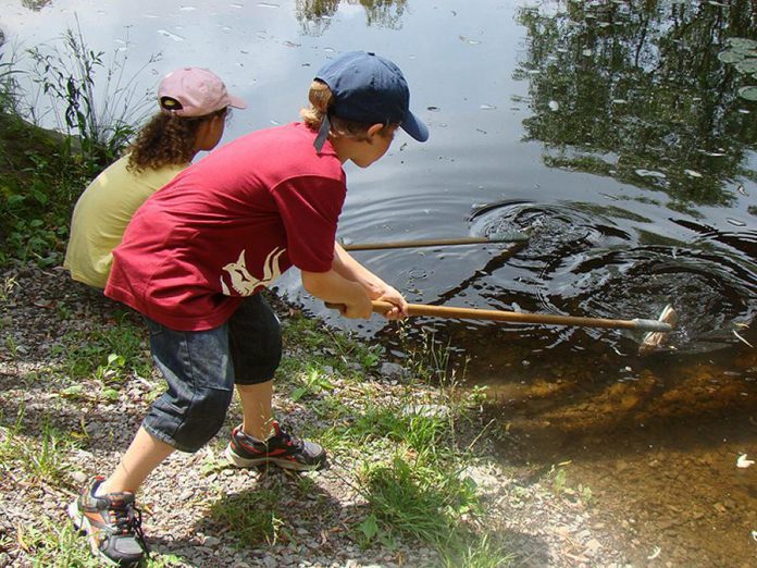 Children use dip nets to capture and examine water-dwelling creatures found within Meade Creek. Teaching youth about the importance of water is one of the many things we can do to help conserve and protect it for future generations. (Photo: GreenUP)