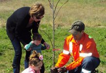 Help Peterborough's Urban Forest by planting trees on May 3rd from 10 to 12 at the storm water pond in front of Peterborough Regional Health Centre (photo: GreenUP)
