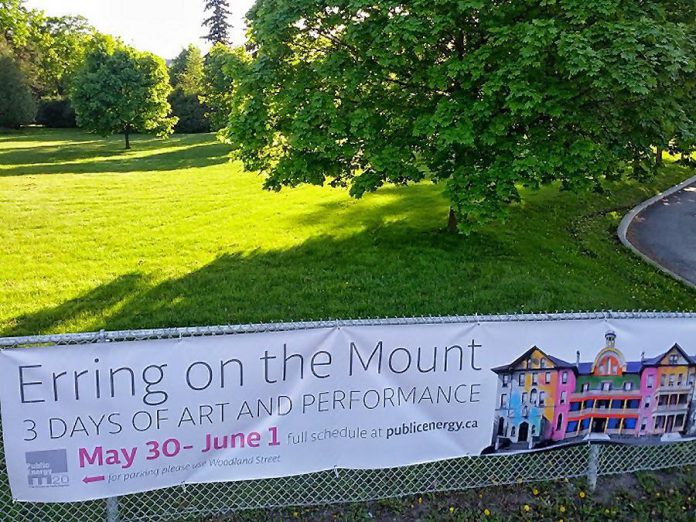 Just beyond these trees lay the former home of the Sisters of St. Joseph convent. The grounds will be a lovely spot for a picnic break while you explore the building and enjoy the many art displays and performances there this weekend (photo: Michael Fazackerley)