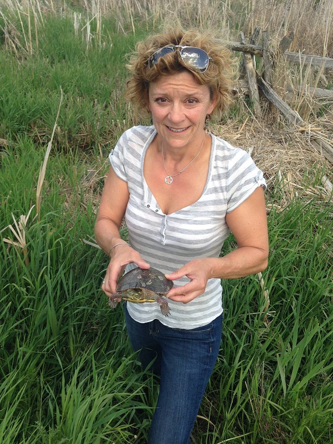 A year after Chloë Black found the injured painted turtle "Shelly", the Kawartha Turtle Trauma Centre invited her to release the rehabilitated turtle — along with her six babies — back into the wild (photo: Al Black)