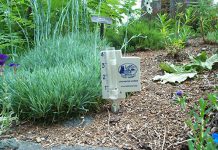 Investing in a rain gauge like this one will allow you to keep track of how much water you apply to your lawn and prevent overwatering; most lawns require no more than an inch of water each week (Photo: Peterborough GreenUP)