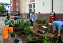 Removing paved surfaces and replacing them with green space, as was done at the Brock Mission, can help reduce storm water runoff and keep our lakes and rivers cleaner for future generations (photo: Peterborough GreenUP)