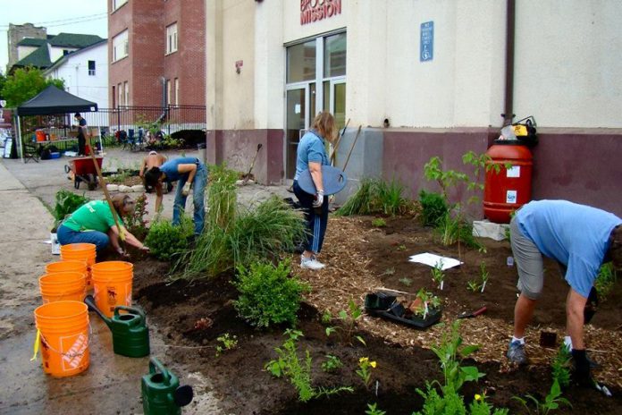 Removing paved surfaces and replacing them with green space, as was done at the Brock Mission, can help reduce storm water runoff and keep our lakes and rivers cleaner for future generations (photo: Peterborough GreenUP)