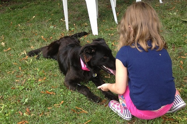 Nicole and her husband saw that Maggie had the potential to be a great family dog, as evidenced by the quick bond Maggie developed with their daughter.