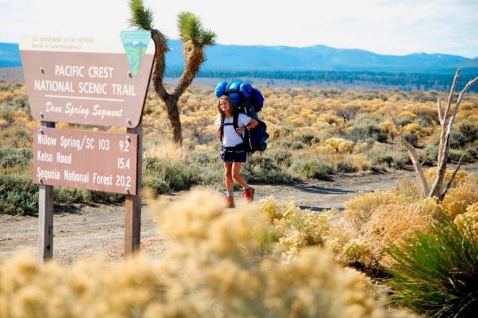 Reese Witherspoon plays Cheryl Strayed in the film adaption of Strayed's bestselling memoir "Wild: From Lost to Found on the Pacific Crest Trail" (photo: Fox Searchlight Pictures)