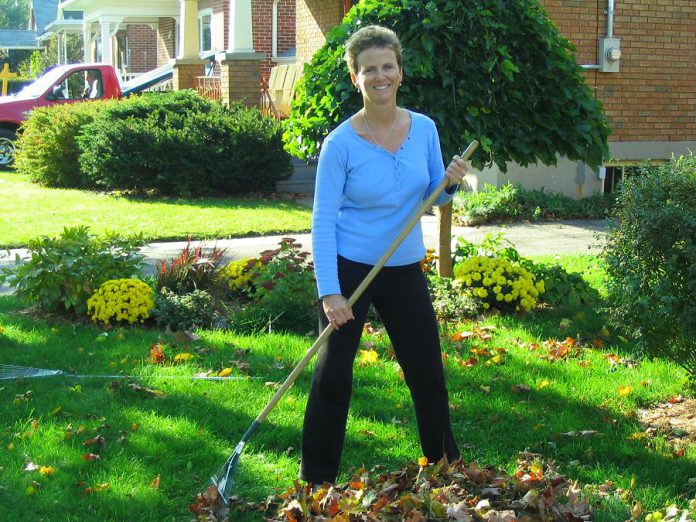 Instead of bagging leaves this year, try mulching them instead. Leaves give a nutrient boost to lawns and gardens, getting them off to a good start in the spring. (Photo: Peterborough GreenUP)