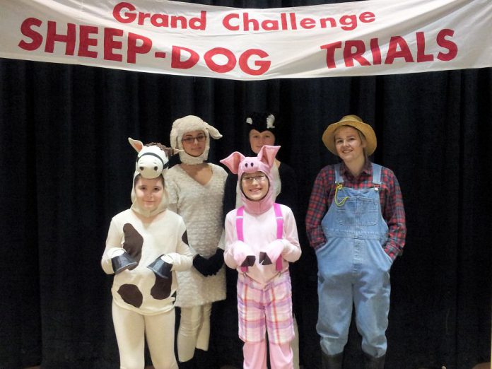 Babe, The Sheep-Pig runs from December 9 to 14th at the Peterborough Theatre Guild, with most performances already sold out. Left to right: Sam Weatherdon as "The Horse", Irelande Farrell as "Ma the Sheep," Mark Nobel as "Babe the Sheep Pig," Katie Oickle as "Fly the Sheep Dog", and Natalee Barker as "Farmer Hogget".