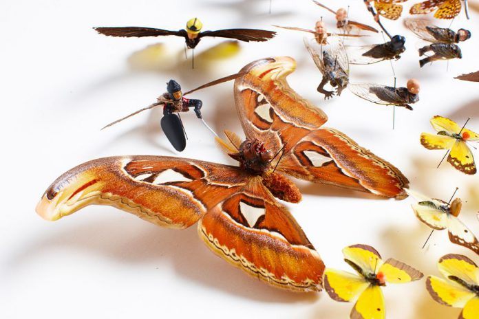 In "Pest", artist Amy Swartz combines her insect specimens and incorporates various heads and limbs from toys and figurines. The resulting hybrids are at turns curious, whimsical, beautiful, and disturbing to behold. (Photo courtesy of Artspace.)