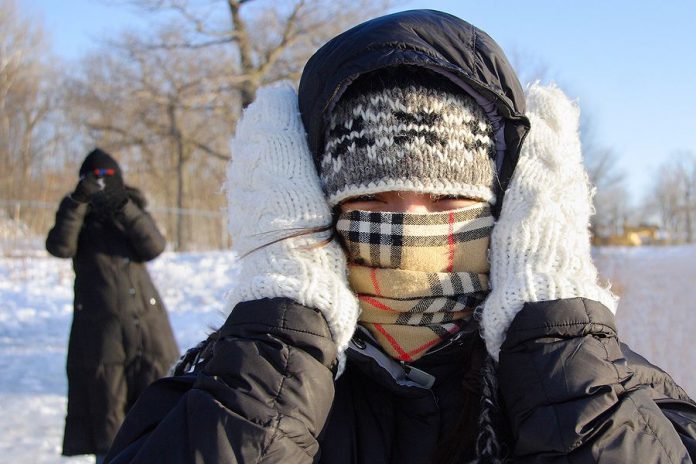 A person in the winter with their face covered and mittened hands over their ears. (Stock photo)