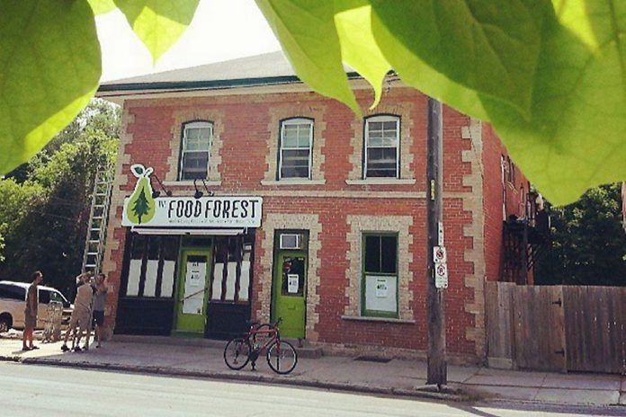 The current location of The Food Forest at 641 George Street in Peterborough (photo courtesy of The Food Forest)