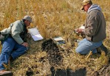 Soil scientists are actively involved in solving many of society's most pressing problems. World hunger, environmental quality, urban growth, and global warming are all issues currently being addressed by soil scientists around the world. (Photo: John A. Kelley, USDA Natural Resources Conservation Service)