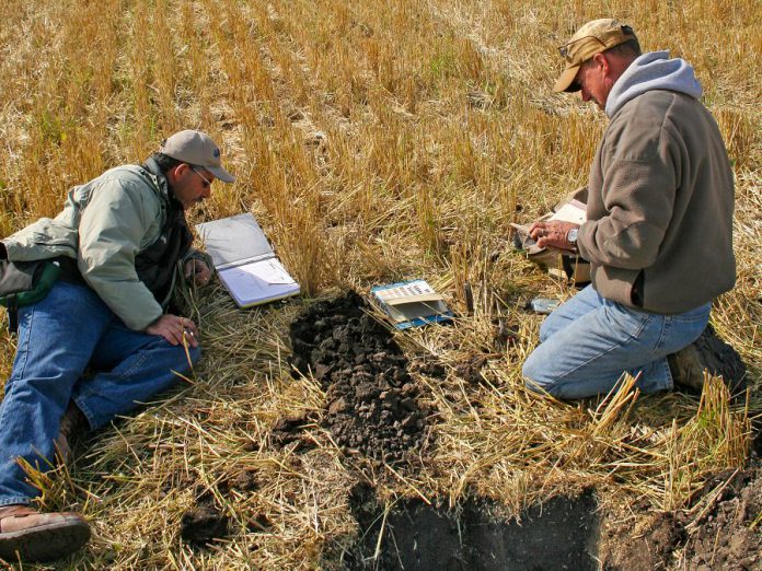 Soil scientists are actively involved in solving many of society's most pressing problems. World hunger, environmental quality, urban growth, and global warming are all issues currently being addressed by soil scientists around the world. (Photo: John A. Kelley, USDA Natural Resources Conservation Service)