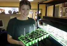 GreenUp's Karen Elcombe holds seedlings that were planted just days ago. Now's the time to test seeds for germination to ensure you're ready to hit the ground running when it's time to plant in the spring. (Photo courtesy of Peterborough GreenUP)