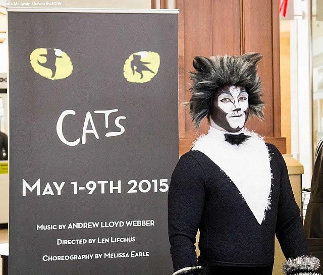 Cats Flash Mob - Photo 01