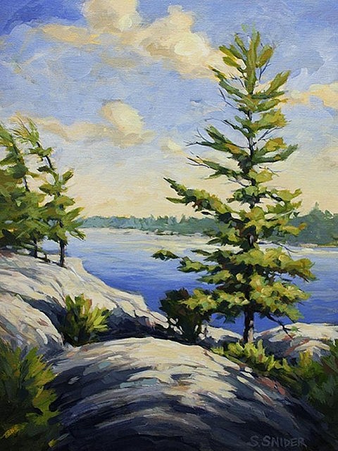 "Georgian Bay Pines" by Stephen Snider
