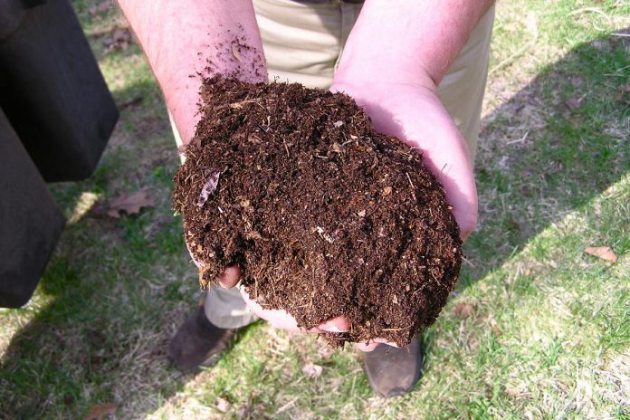 Organisms, such as bacteria and worms, work together to break down kitchen scraps and yard waste, turning it into rich garden soil your plants will thrive on (photo: Wikipedia)