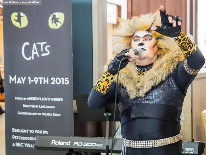 Danny Bronson, in full costume and makeup as Rum Tum Tugger, performed the song "Mr. Mistoffelees" from "Cats" for the lunch-time crowd at Lansdowne Place on Saturday, April 4th. The Peterborough Theatre Guild production of the Andrew Lloyd Webber musical runs for seven performances only, May 1 to 9 at Showplace Performance Centre in Peterborough. (Photo: Linda McIlwain / kawarthaNOW)