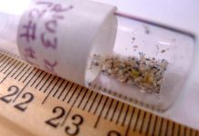 Microbeads, which are found in a wide range of products from soaps and facial cleansers to toothpastes, have been turning up in large quantities in lakes and rivers. Too small to be captured in wastewater treatment plants, the beads enter waterways, causing harm to fish and wildlife. (Photo: 5 Gyres)