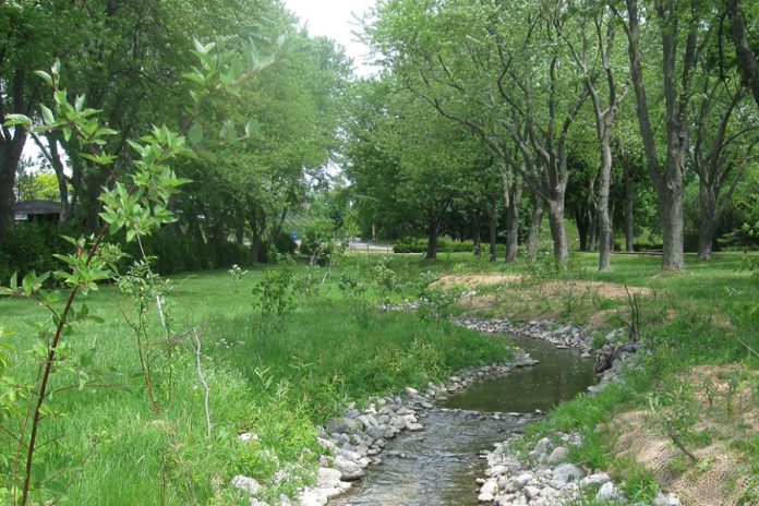 The Peterborough Urban Shorelines Revitalization Project gives shoreline property owners a free assessment and provides recommendations they can take, such as planting native plants, trees, and shrubs to keep our urban waterways healthy