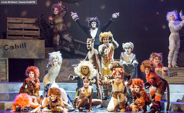 The Peterborough Theatre Guild production of the famous Andrew Lloyd Webber musical "Cats" ran at Showplace Performance Centre in Peterborough in May for seven performances only (photo: Linda McIlwain / kawarthaNOW)