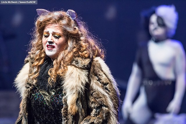 Lyndele Gauci as Grizabella the Glamour Cat (photo: Linda McIlwain / kawarthaNOW)