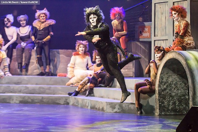 Nate Axel as Mister Mistoffelees the Conjuring Cat (photo: Linda McIlwain / kawarthaNOW)