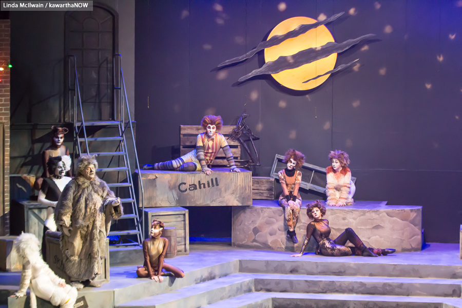 Willoughby Theatre Company Brings Purr-fect Production of CATS to The  Concourse! - Willoughby Living