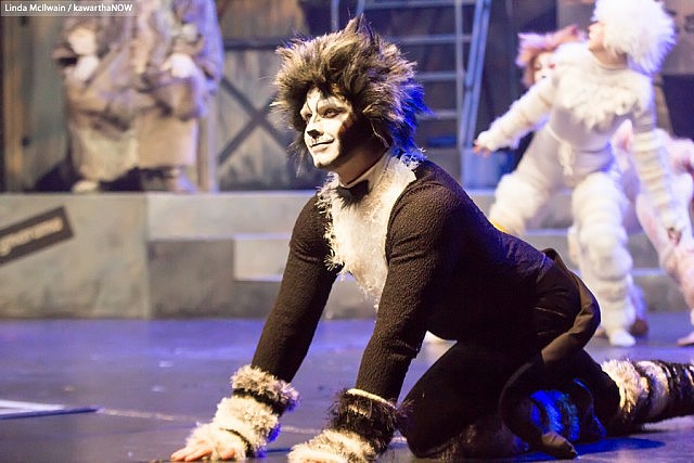 Cats Dress Rehearsal 29