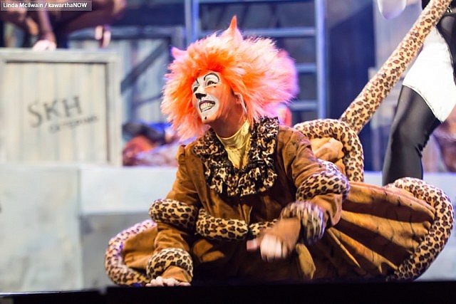 Susie Cox as Jennyanydots the Old Gumbie Cat (photo: Linda McIlwain / kawarthaNOW)
