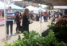 Last year's opening day of the Peterborough Downtown Farmers' Market