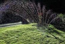 With dry conditions sure to arrive in the weeks ahead, now is the time to think about effective watering techniques for lawns and gardens. Most lawns only require about an inch of water each week. (Photo: Robert Couse-Baker)