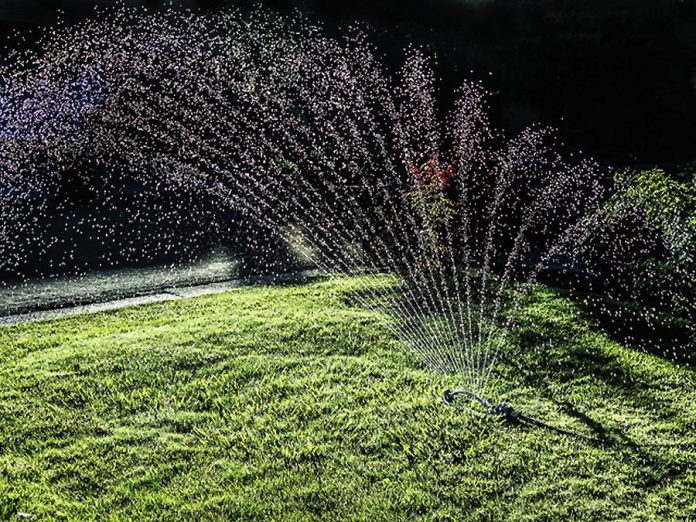 With dry conditions sure to arrive in the weeks ahead, now is the time to think about effective watering techniques for lawns and gardens. Most lawns only require about an inch of water each week. (Photo: Robert Couse-Baker)