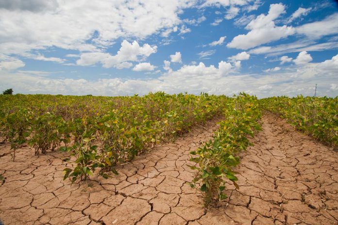 While climate change may have some benefits to Ontario like an extended growing season, those benefits are well outweighed by risks like stronger storms, flooding rains, and drought — as is seen here in Texas. Ontario's Environment Commissioner warns that province needs to step up its game to meet its 2020 carbon reduction targets. (Photo: Bob Nichols/USDA)