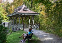 The Pagoda Bridge in Jackson Park in Peterborough will be restored over September and October (photo: Ron Crough)