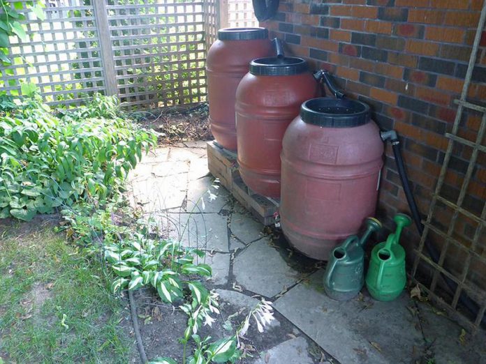 GreenUP is looking for Peterborough residents who are using water wisely, like Warren Dunlop who has this great rain barrel setup in his backyard (photo: Warren Dunlop)