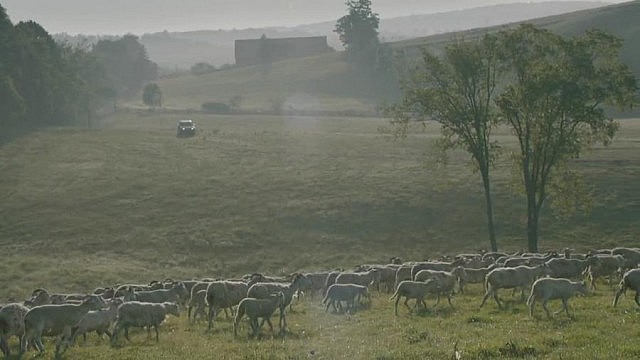 Most of the vista shots were also filmed at Harley Farms in Keene