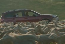 A commercial for the 2016 Subaru Forester was filmed this summer at two farms in the Kawarthas area