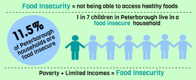 The report finds that 11.5% of Peterborough households are "food insecure" (graphic: Peterborough County-City Health Unit)