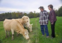 David and Cora Whittington at their farm in Stewart Hall, Ontario. When David suffered a heart attack, he was rushed to PRHC's Cardiac Catheterization Lab where an emergency angioplasty procedure saved his life.