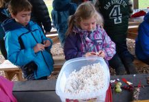 Children string popcorn, grapes, and cranberries onto strings to make bird-friendly garlands at GreenUP Ecology Park at an event on Sunday, December 6