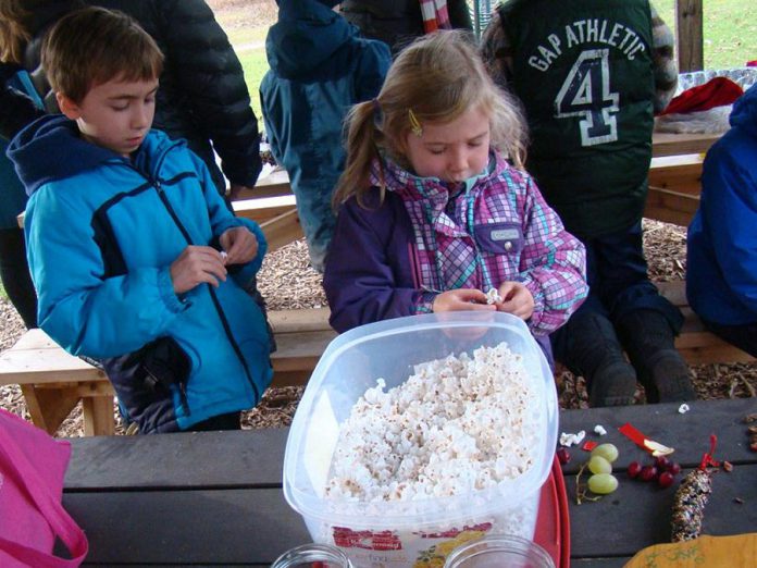 Children string popcorn, grapes, and cranberries onto strings to make bird-friendly garlands at GreenUP Ecology Park at an event on Sunday, December 6