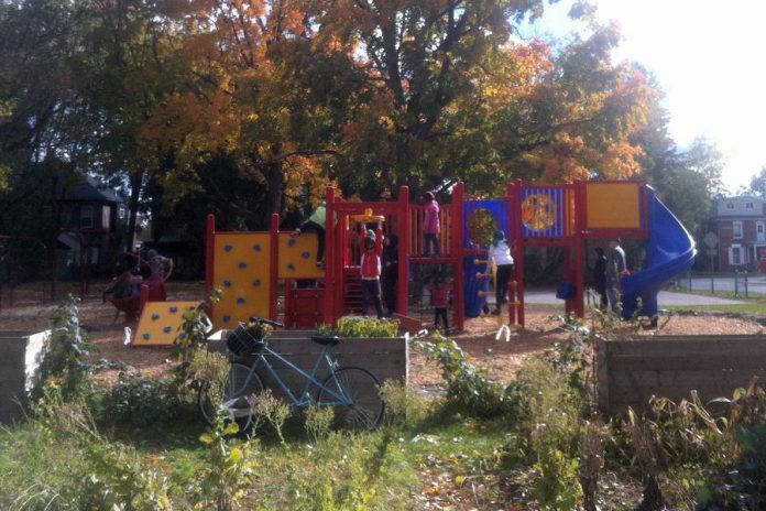 The new play structure installed at the Stewart Street Park in Peterborough, showing some of the raised beds in the community garden (photo: Jillian Bishop)