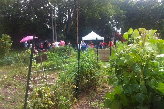 The community garden in the Stewart Street Park grows food, knowledge, pride, and positivity (photo: Peterborough Community Garden Network / Facebook)