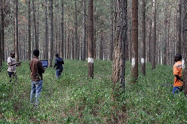 "Banking Nature" screens at 4:20 p.m. on Sunday, January 31 at Showplace