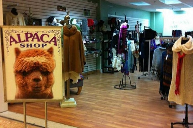 The Alpaca Shop, which runs a popular retail location in Peterborough Square during the winter, was created by four local alpaca farms in 2014