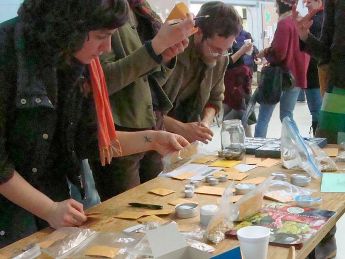 Enthusiastic seed savers swap seeds at Seedy Sunday's Seed Exchange Area. Seed swappers exchange their favourite seeds in labelled envelopes with the name of the plant, the date harvested, number of seeds, and other helpful growing information so that they can pass on their favourites to others. (Photo: Jillian Bishop)