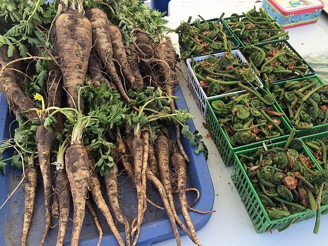 Wild parsnip and fiddleheads from River City Farms (photo: Eva Fisher)