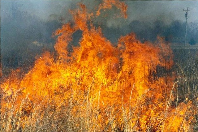 Because there's no way to know where they'll come down, sky lanterns may cause grass or forest fires in rural areas.