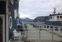 Mayhemingways in Newfoundland: the view from the deck at The Cat Stop, a bar in Norris Point, Newfoundland. The boat on the right is the water taxi that takes folks between Norris Point and Woody Point.