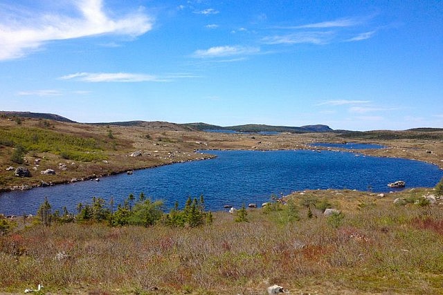 A pond and some barrens outside of St. John's.
